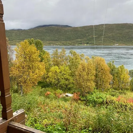 Kvalsund فيلة